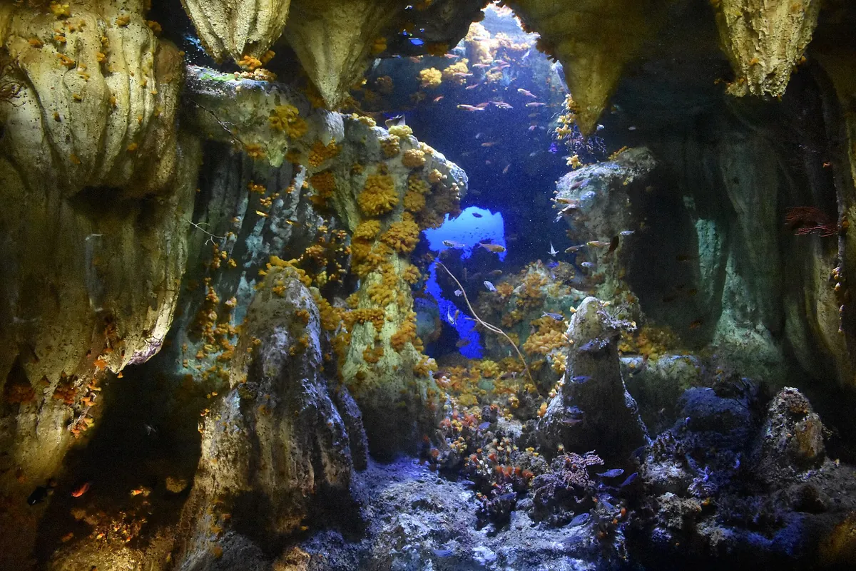 Sunshine Aquarium