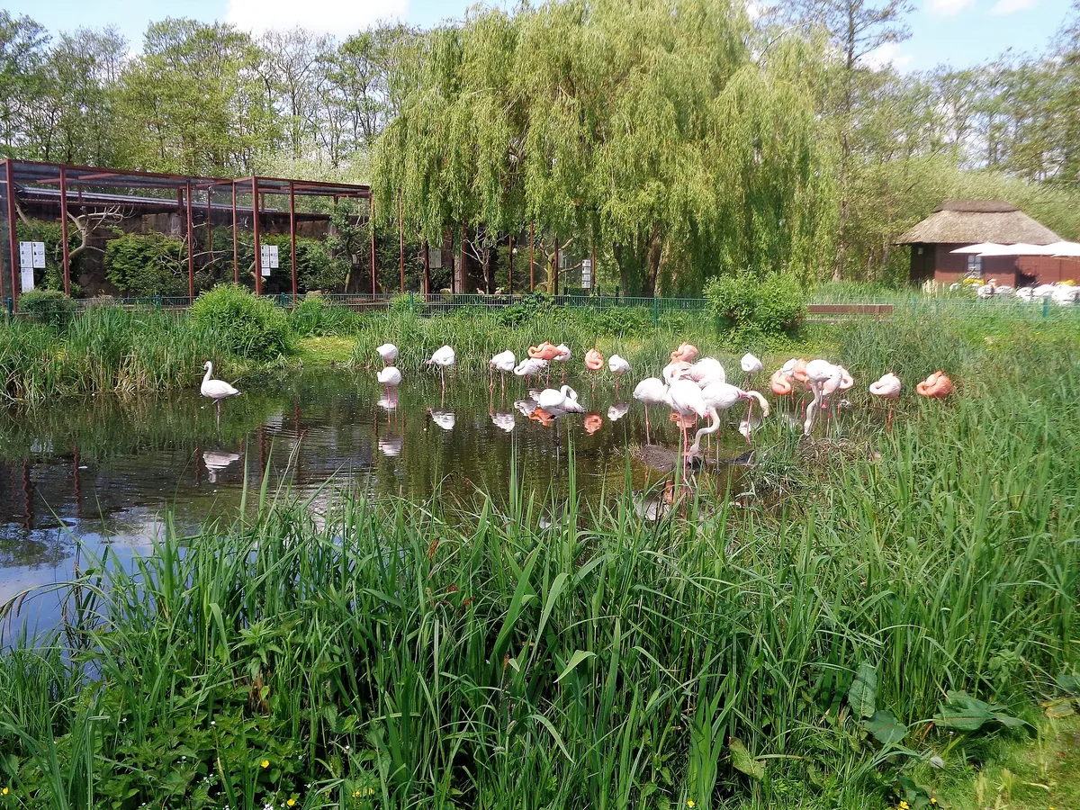 Vogelpark Niendorf