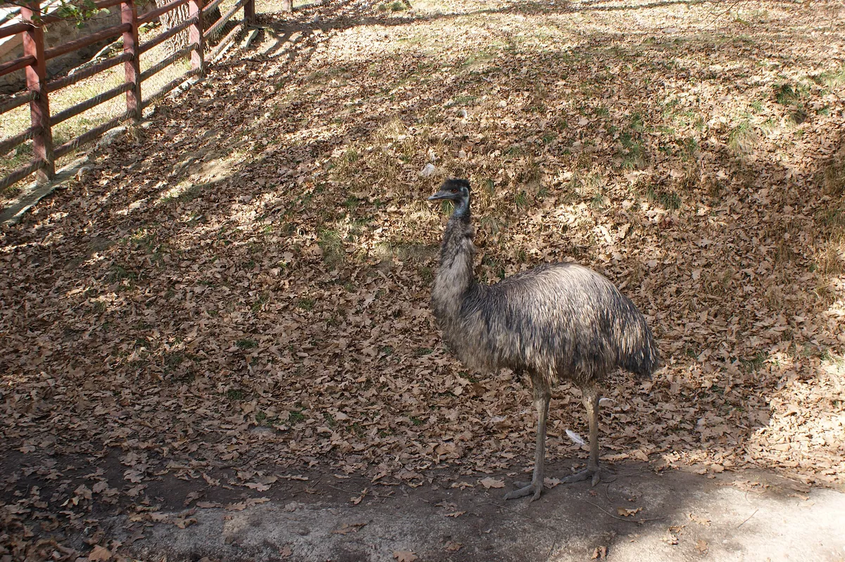Zoo Sibiu