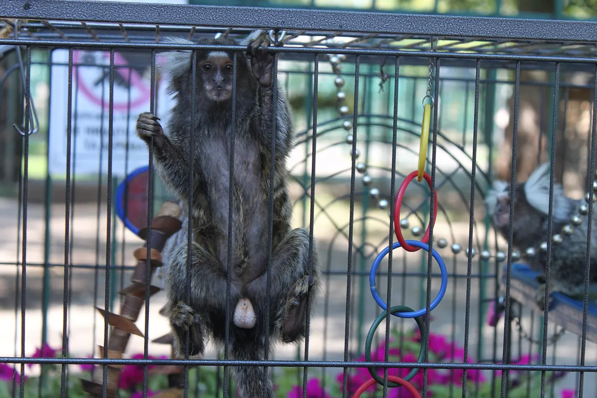 Lutsk Zoo