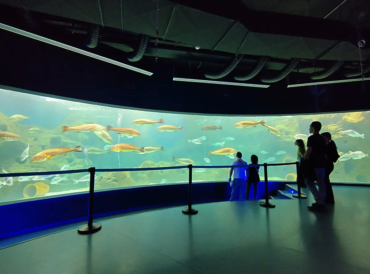 Cretaquarium