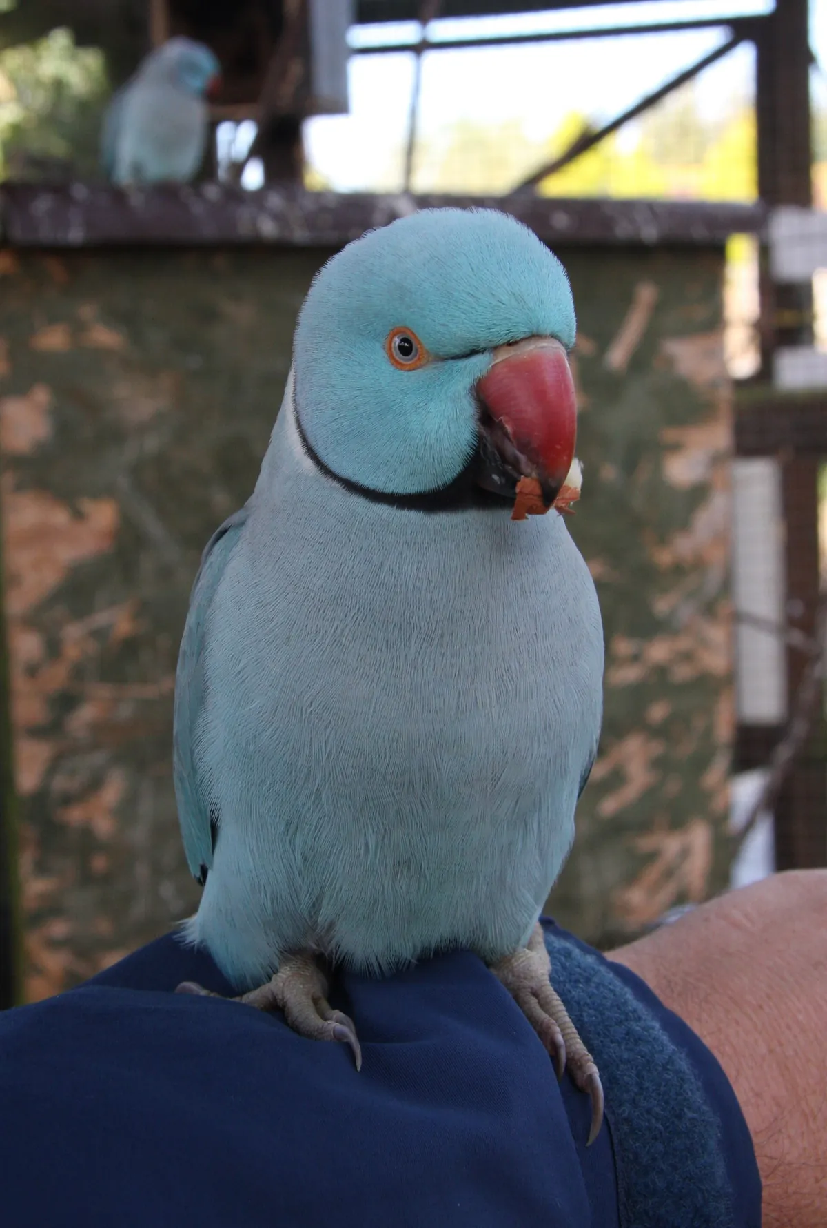 Lincolnshire Wildlife Park