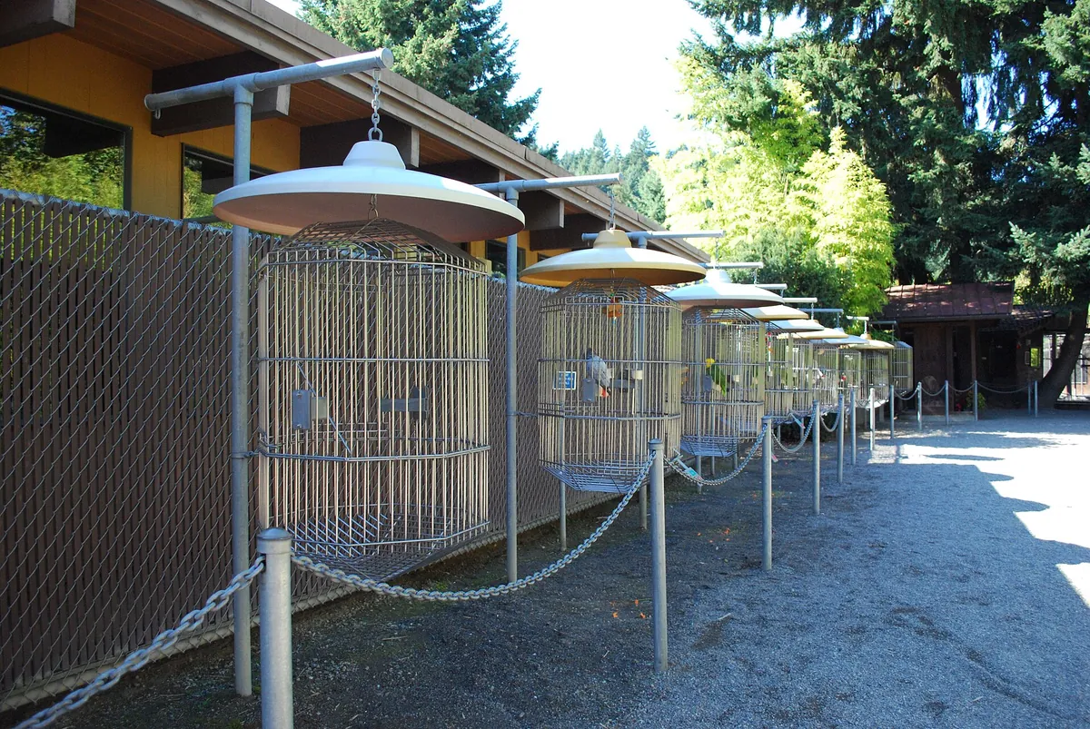 Cougar Mountain Zoo