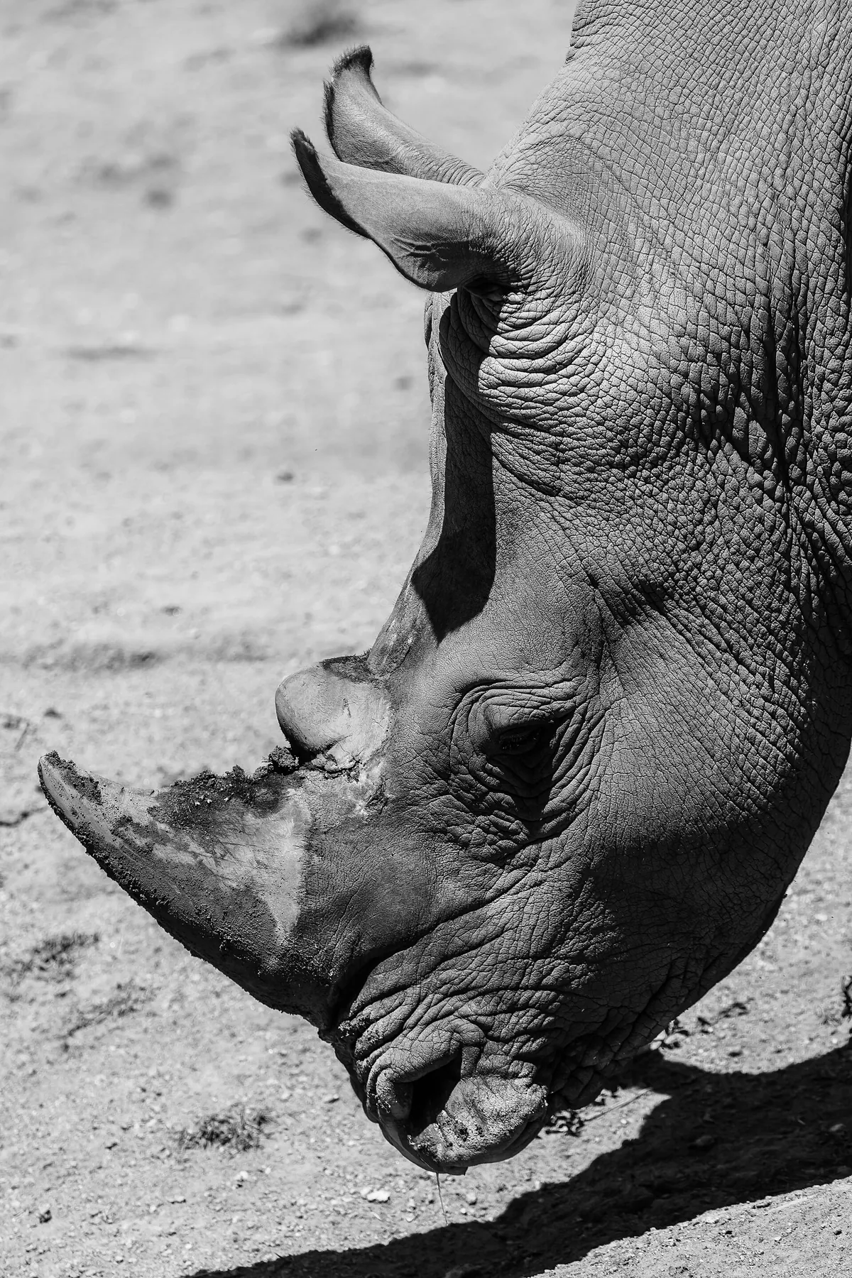 Zooparque Itatiba