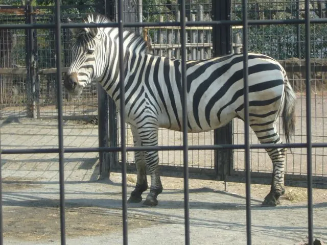 Hamura Zoo