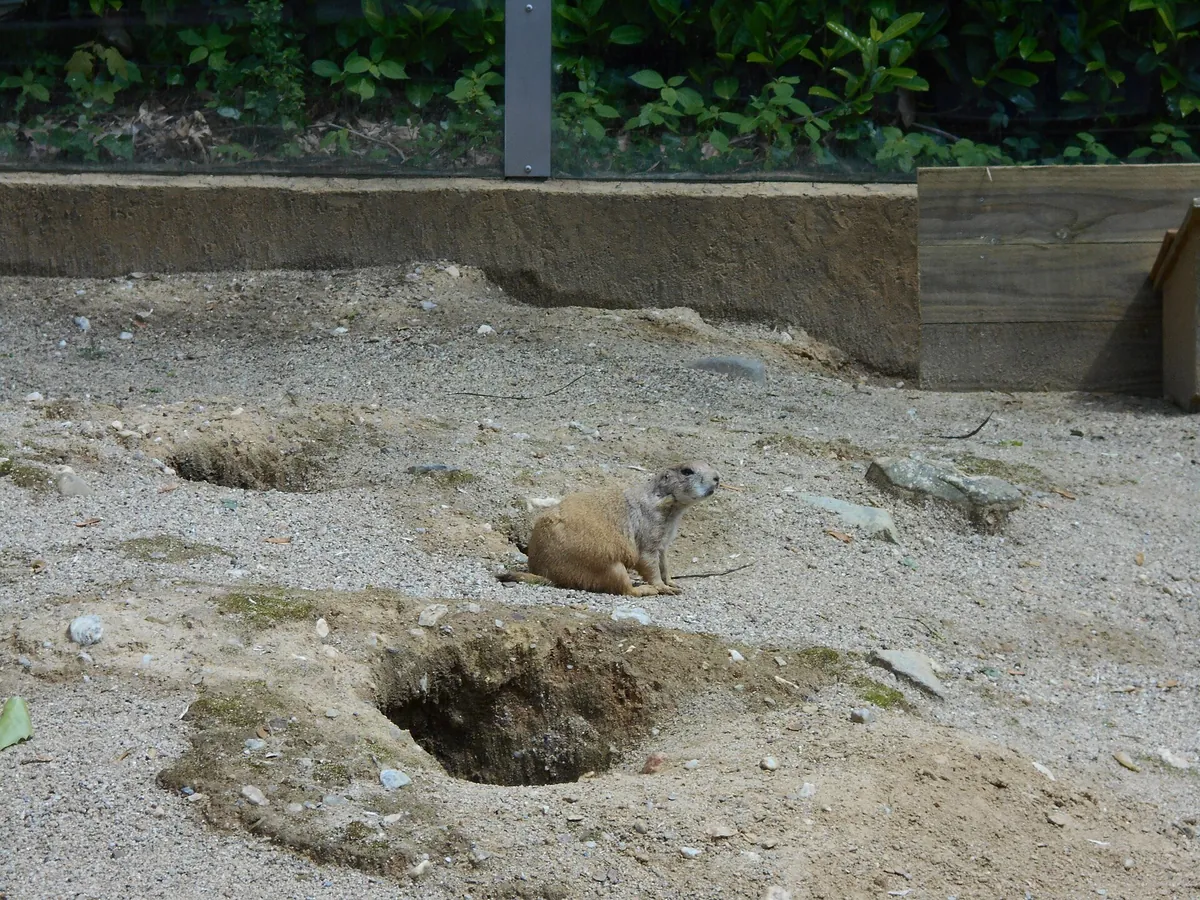 Parc zoologique de Champrepus