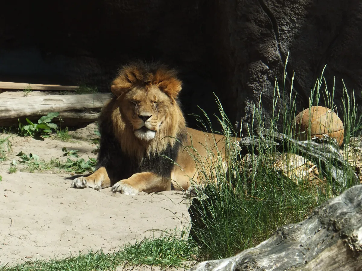 Tierpark Ueckermünde