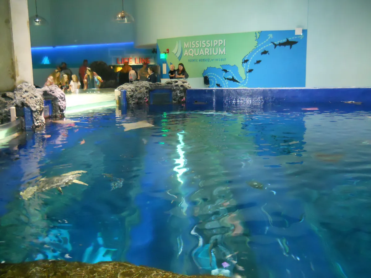 Mississippi Aquarium