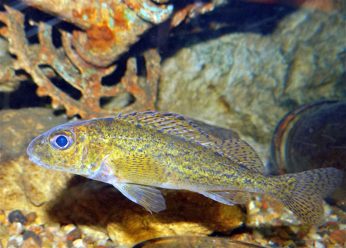 Grand Aquarium de Touraine