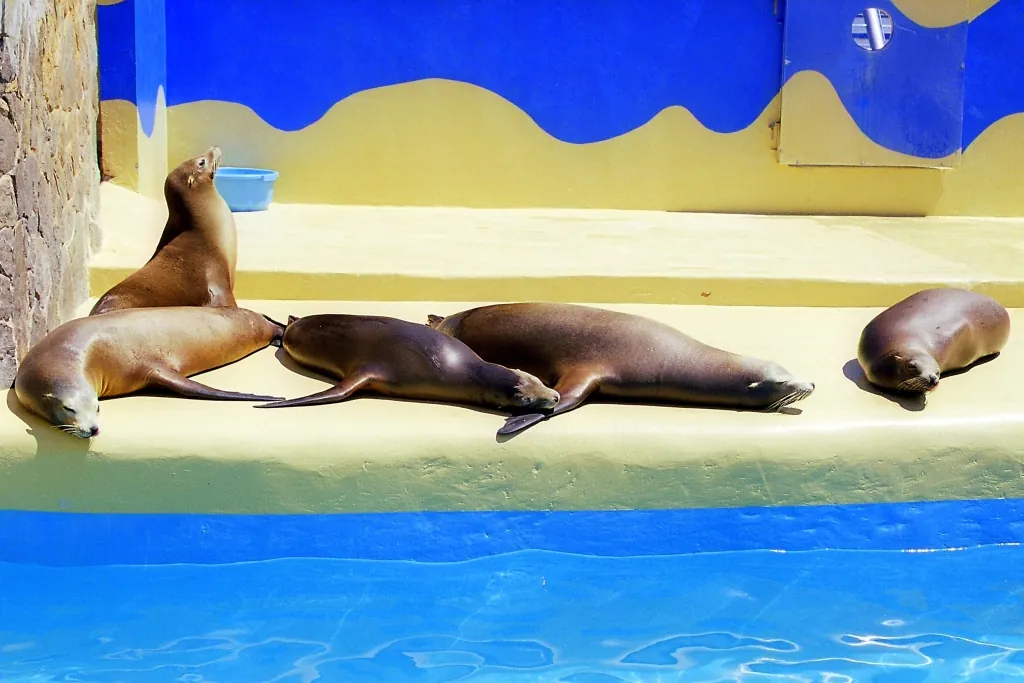 MARINELAND MALLORCA