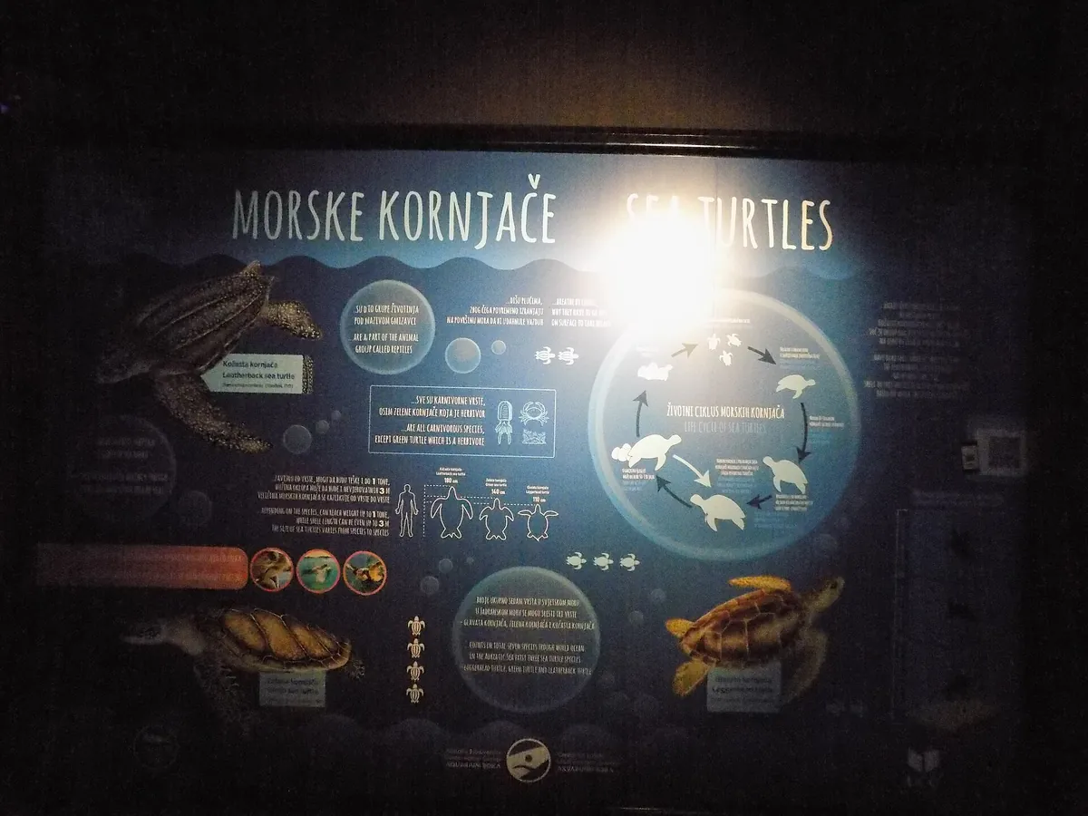 Aquarium Boka