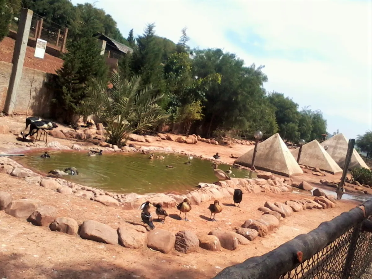 Dream Village