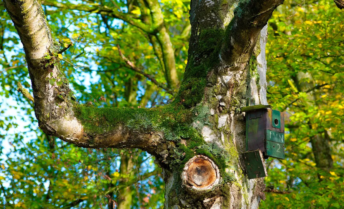 Mondo Verde, Landgraaf