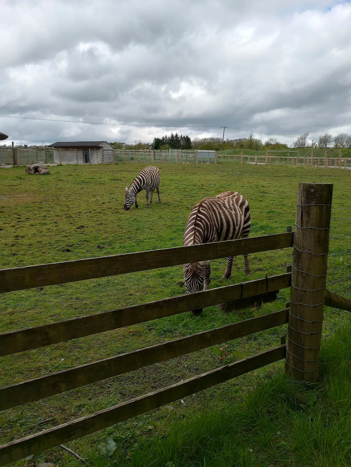 Peak Wildlife Park