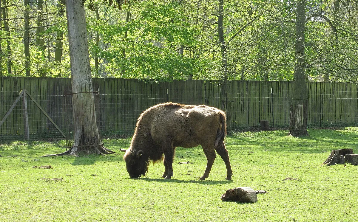 Wildpark Leipzig