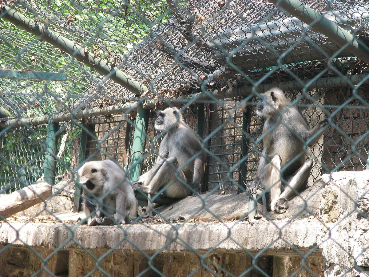 Tata Steel Zoological Park