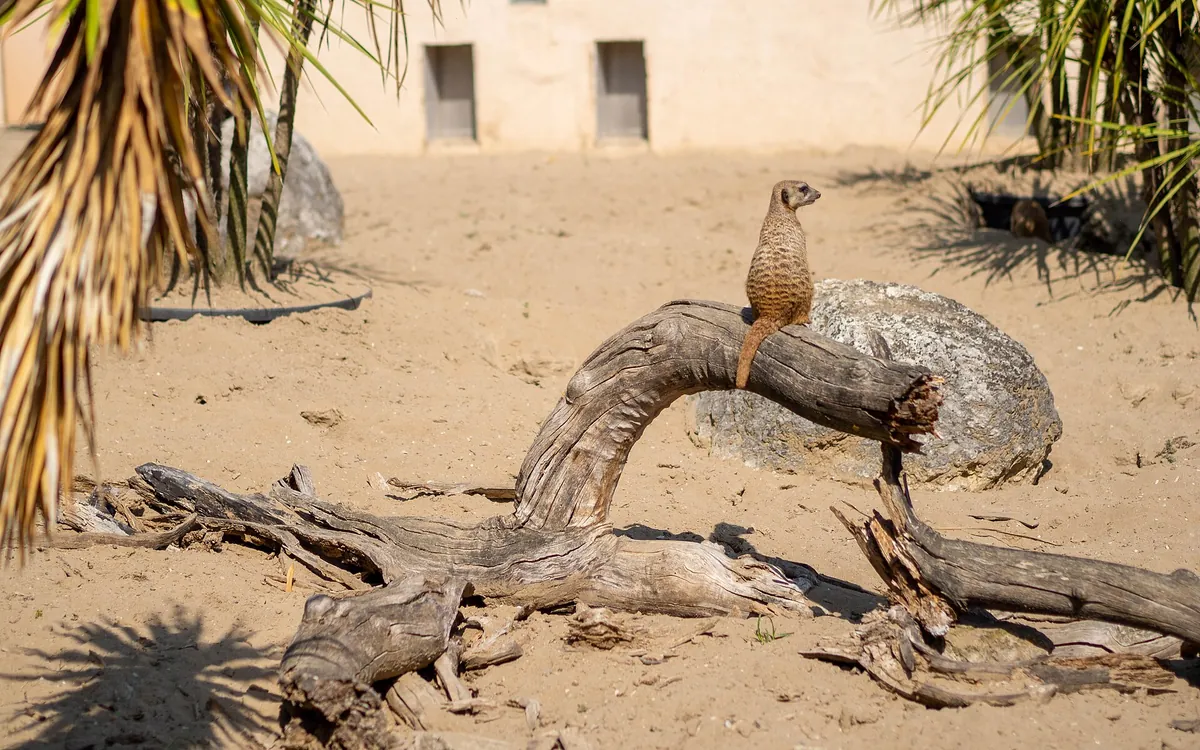 Parco Zoo Punta Verde