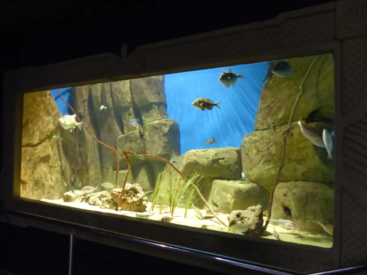 ACUARIO DE SEVILLA