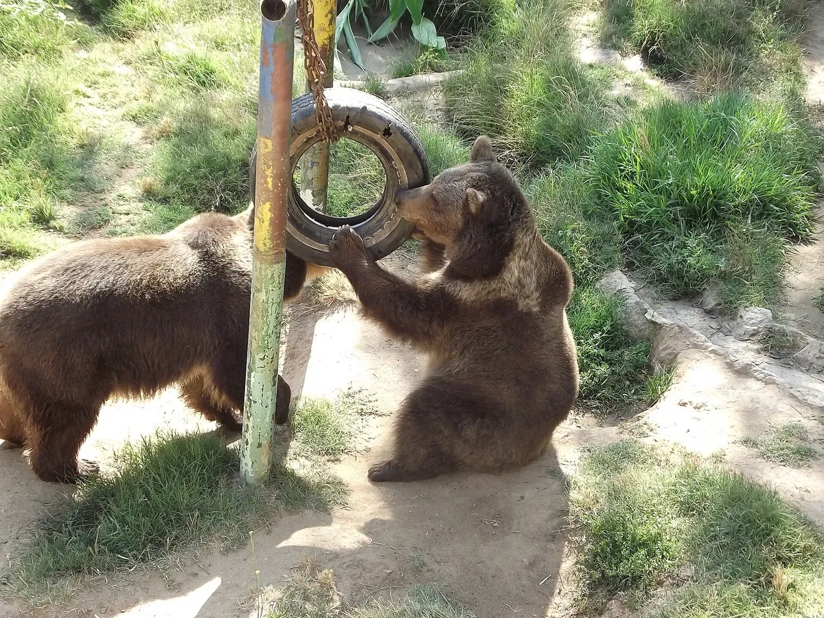 Zoológico de Quilpué