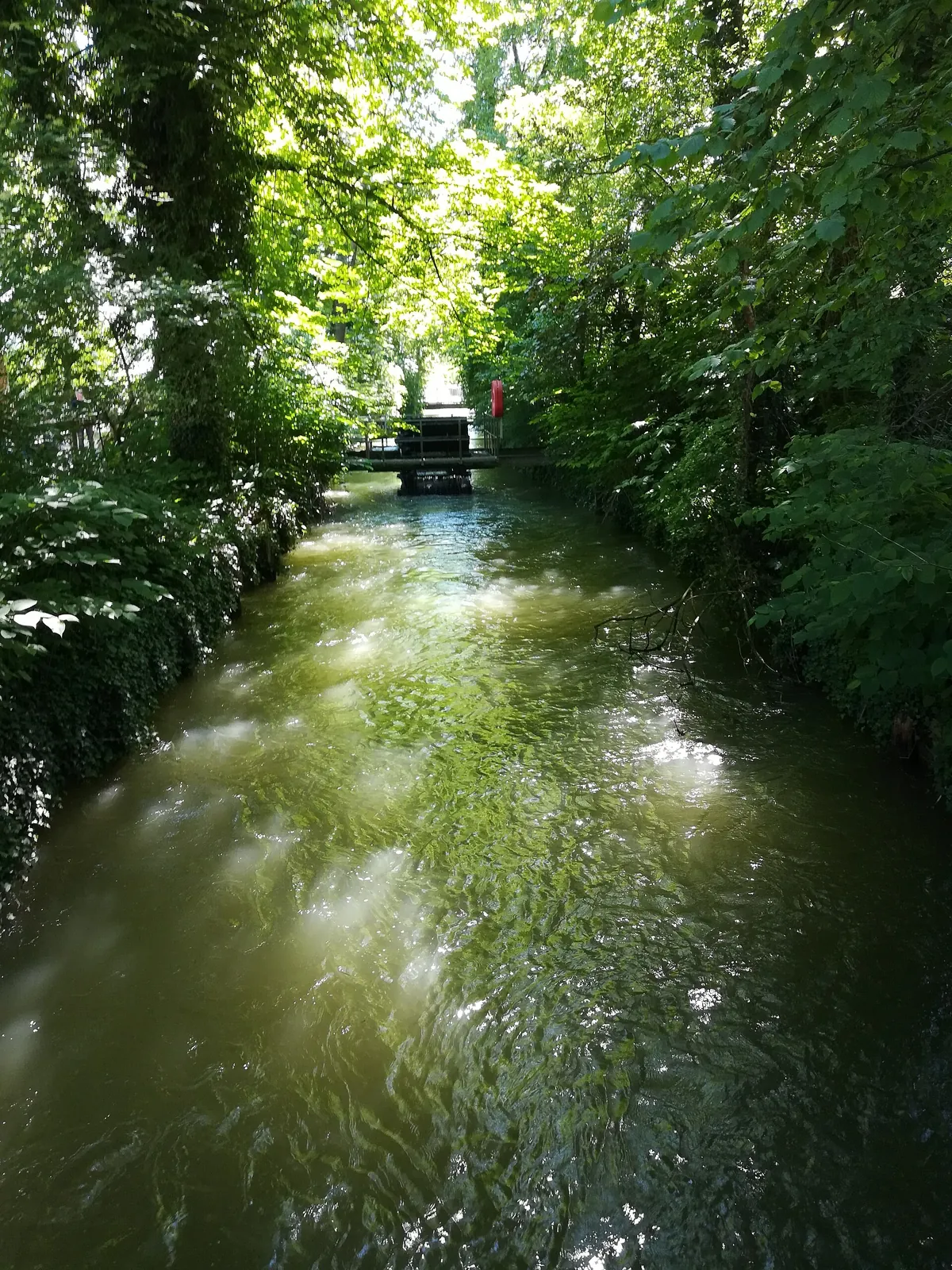 Tiergarten Wels