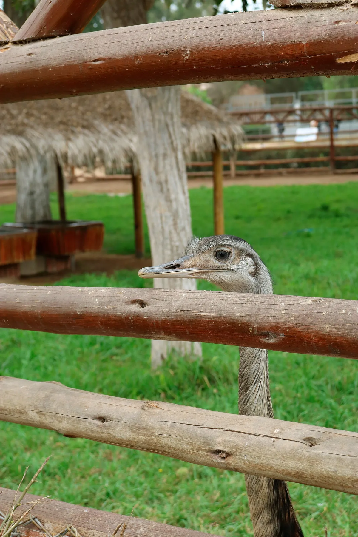Parque de las Leyendas