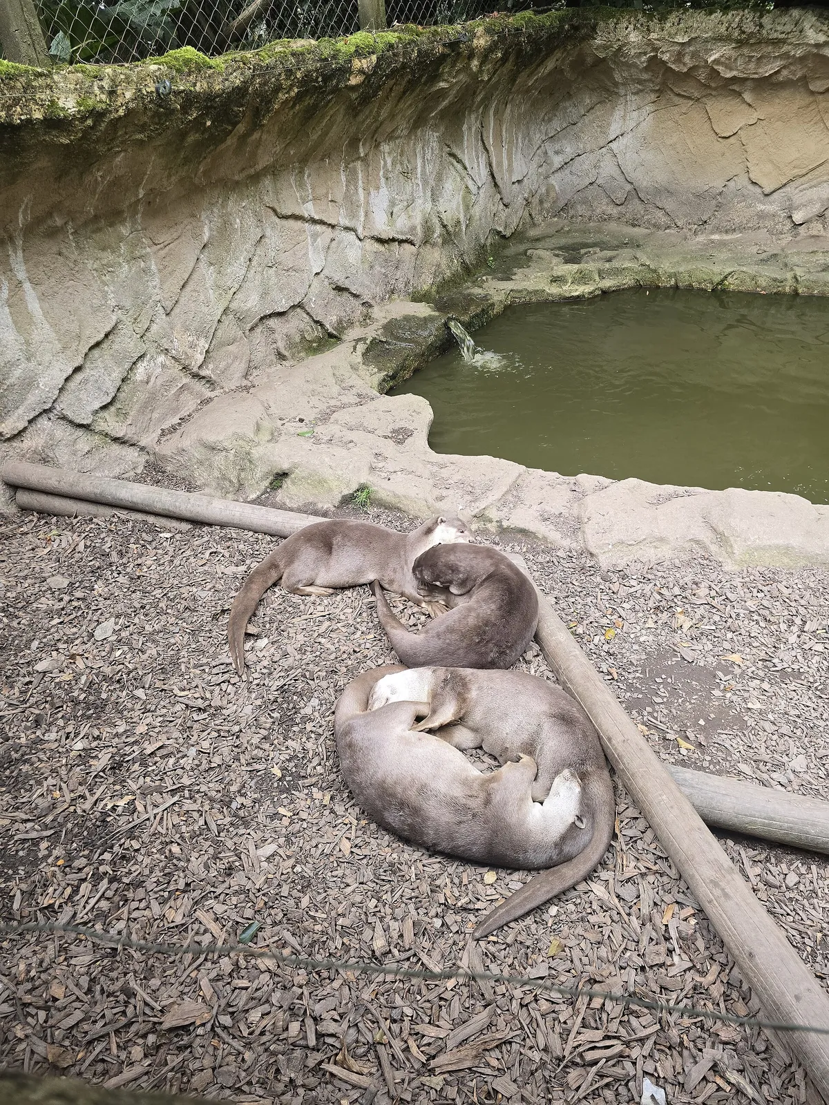 Exmoor Zoological Park