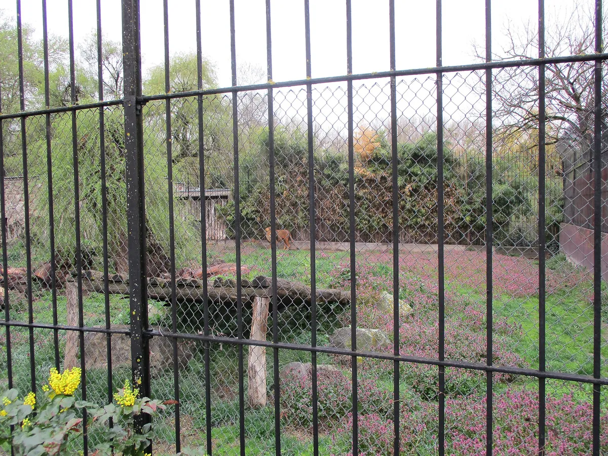 Osijek Zoo and Aquarium
