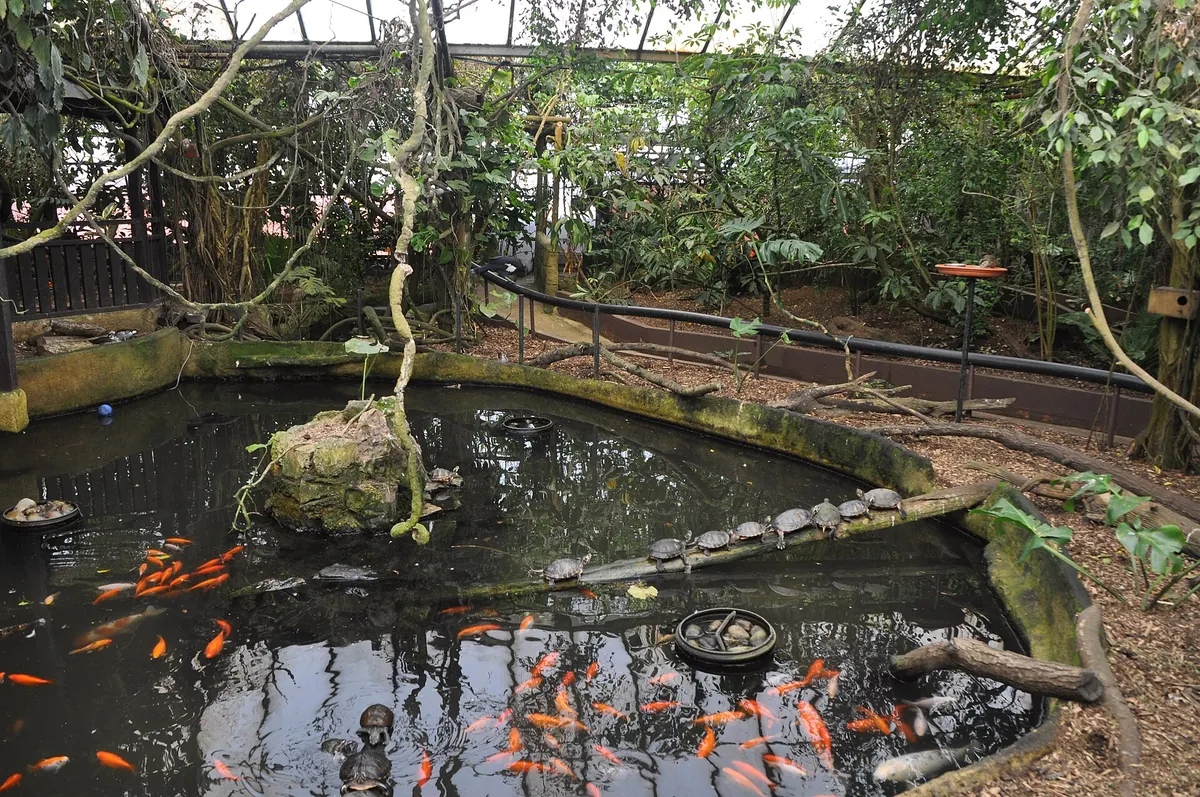 Amazon World Zoo Park