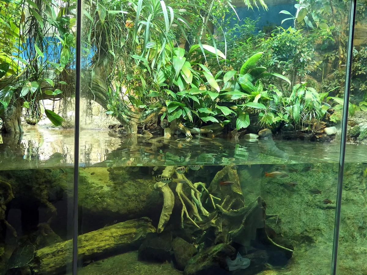 Port of Nagoya Public Aquarium