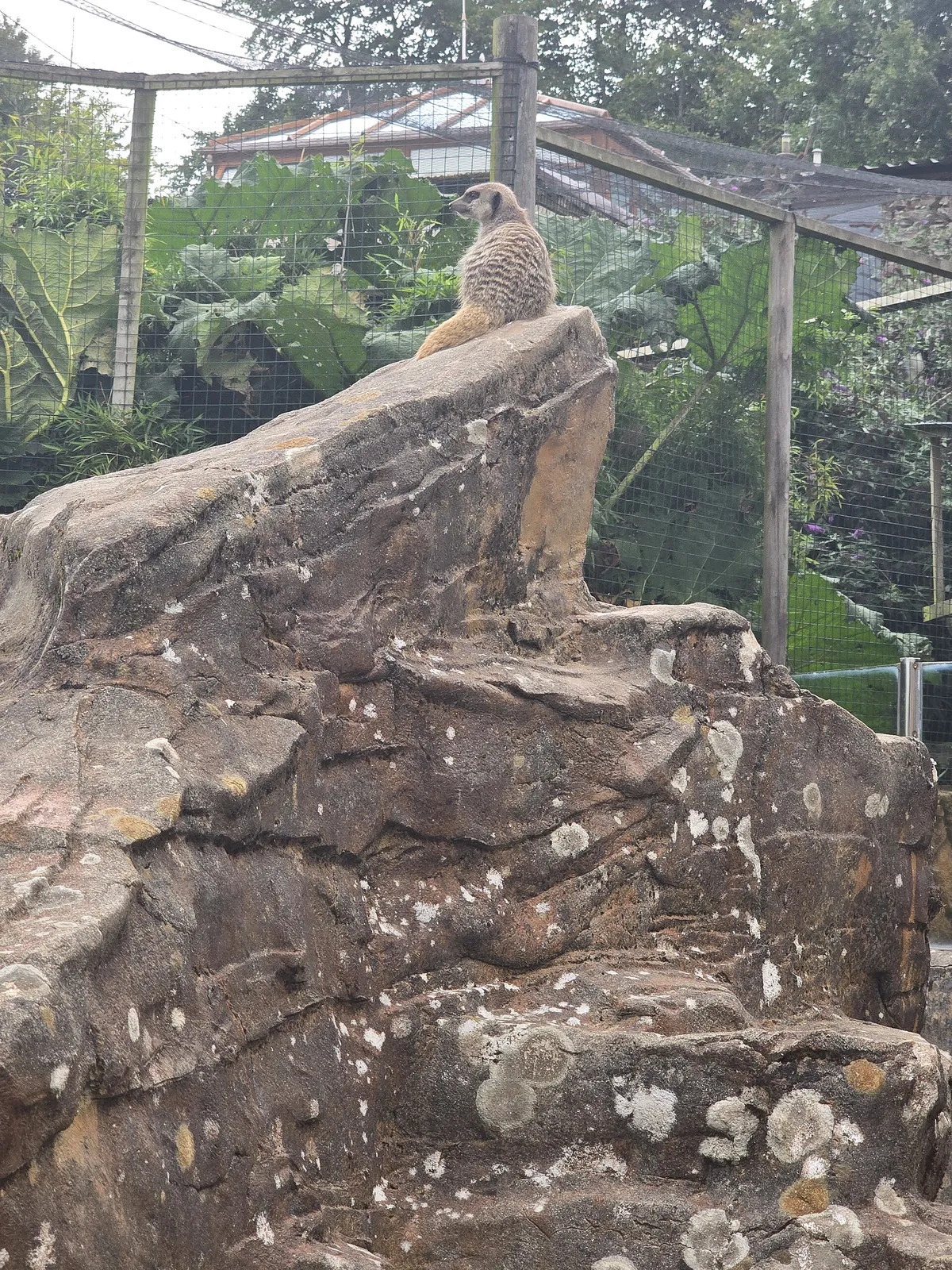 Exmoor Zoological Park