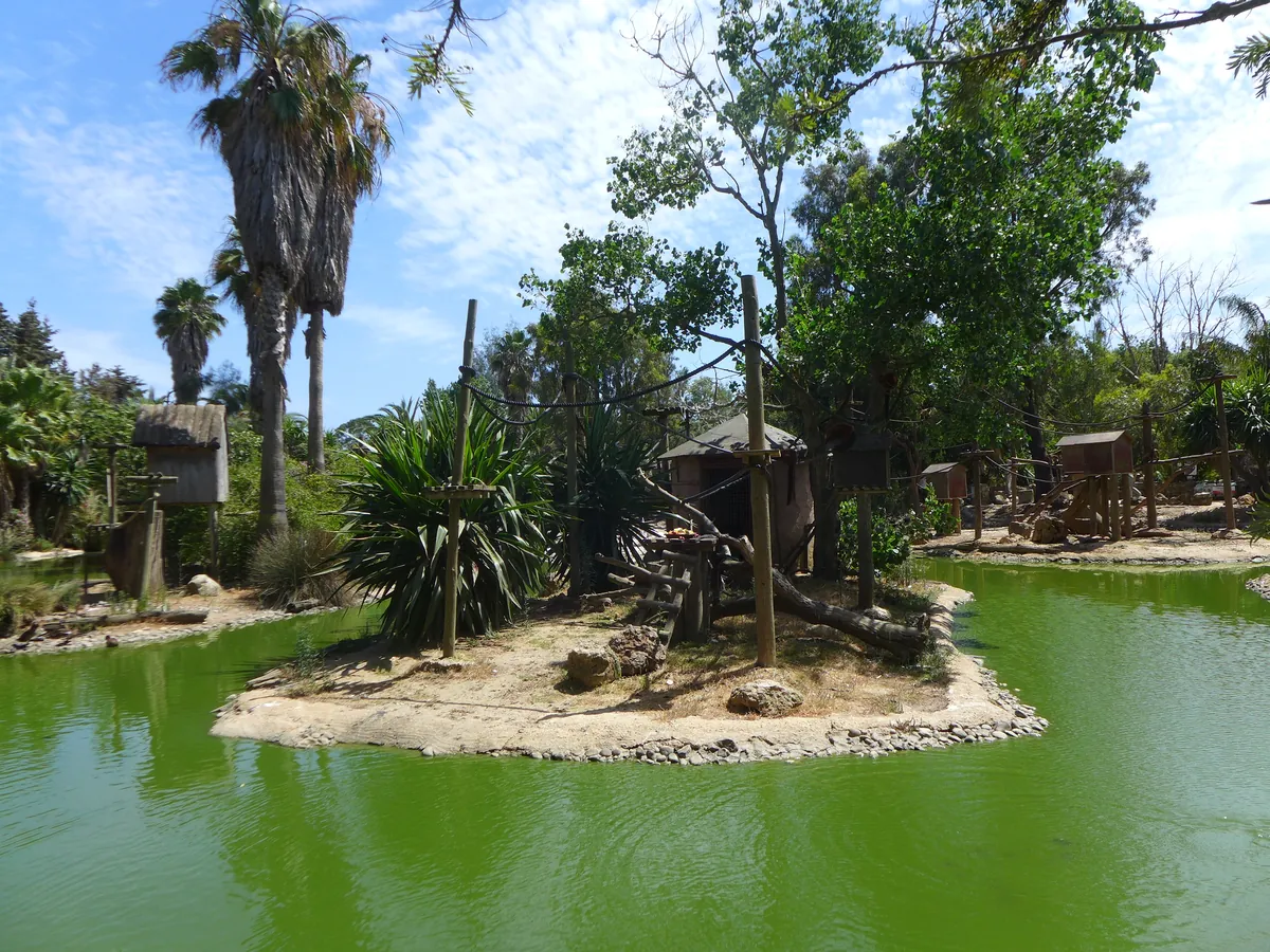 ZOO DE LAGOS