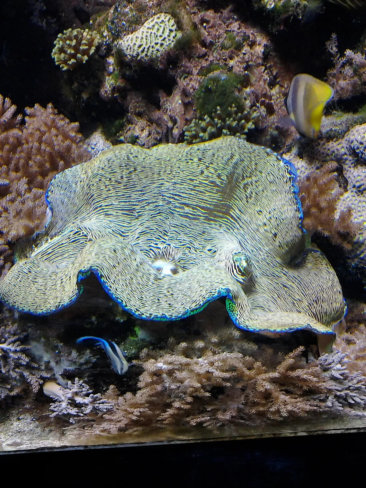 North Carolina Aquarium at Fort Fisher
