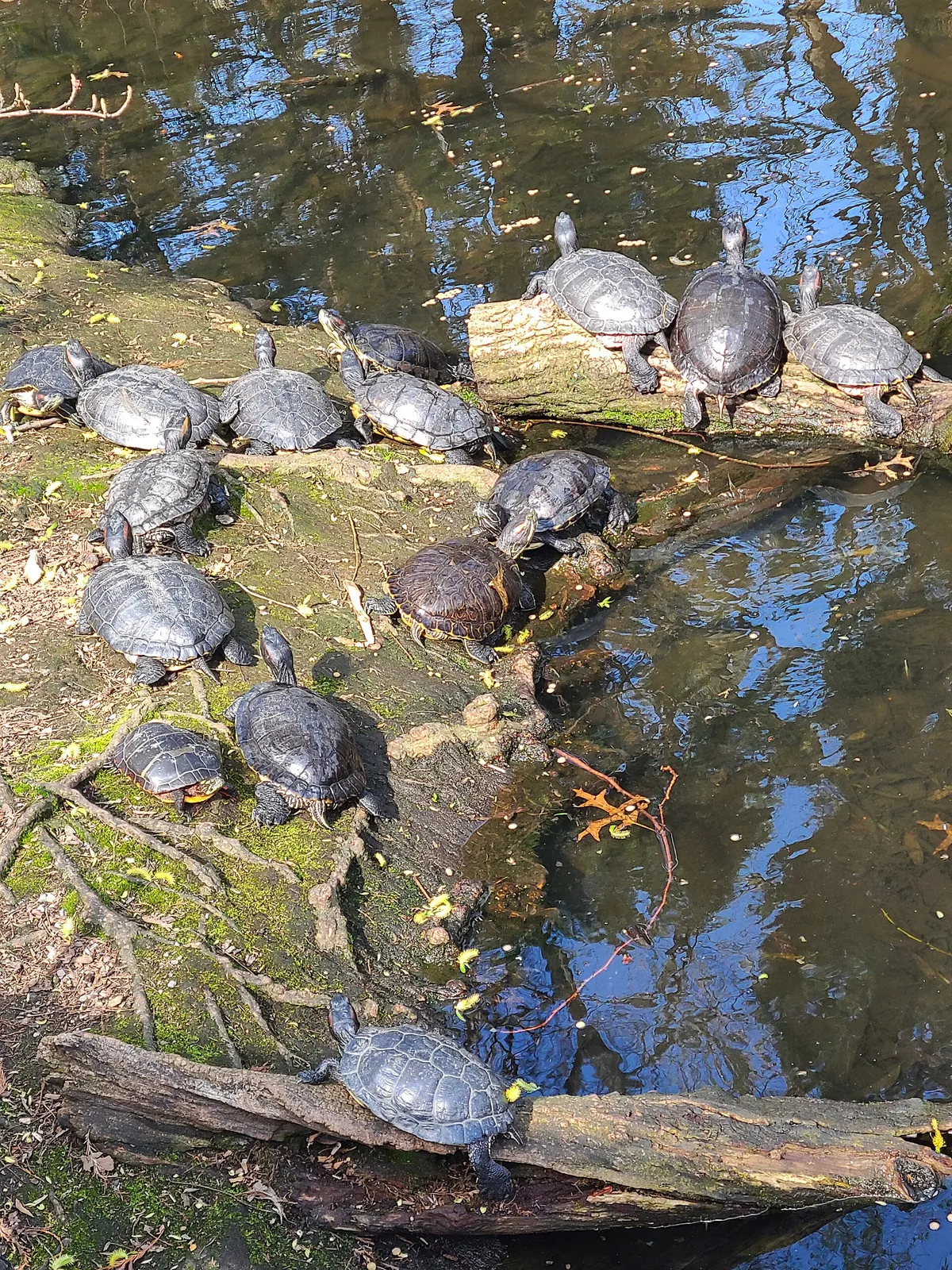 Prospect Park Zoo