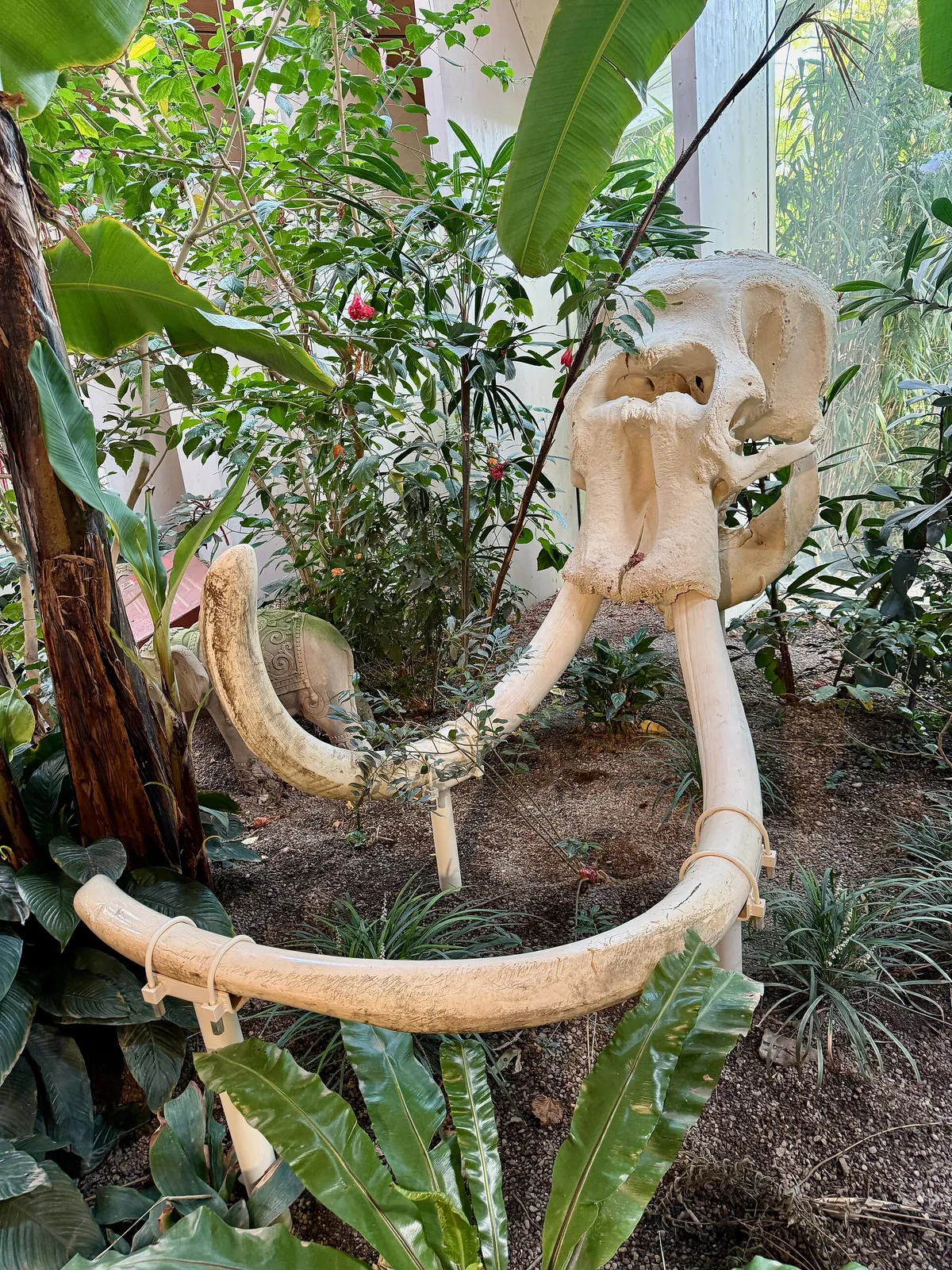 Zoo Zürich