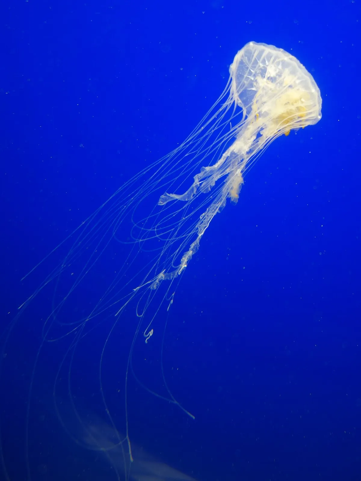 North Carolina Aquarium at Fort Fisher