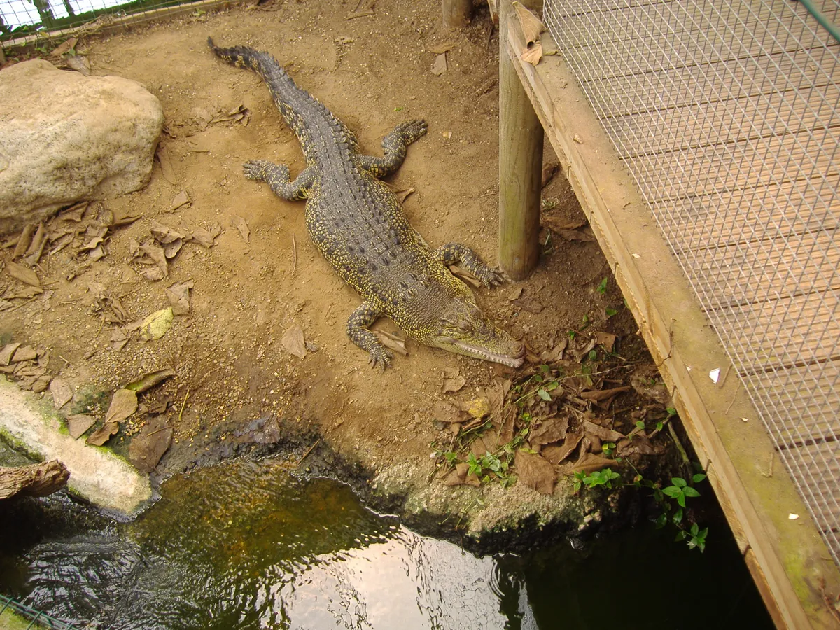 Thrigby Hall Wildlife Gardens