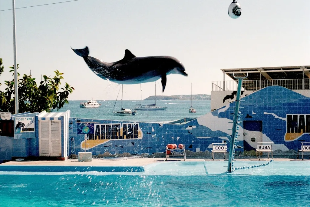 MARINELAND MALLORCA