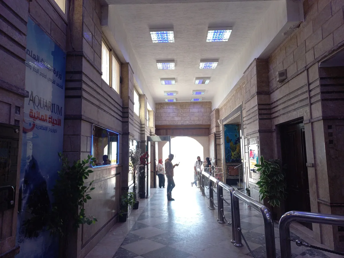 Alexandria Aquarium
