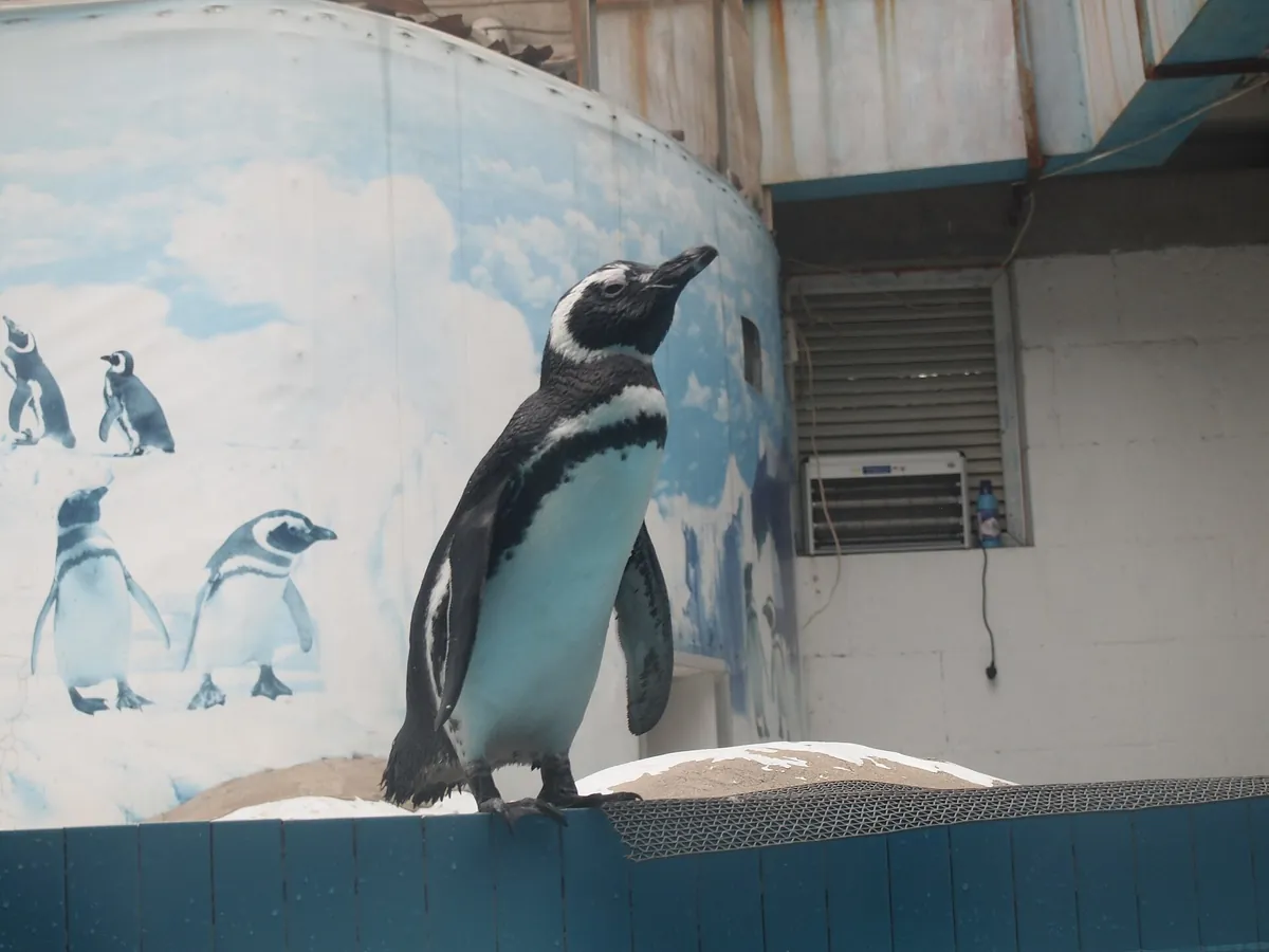 Nanjing Hongshan Forest Zoo