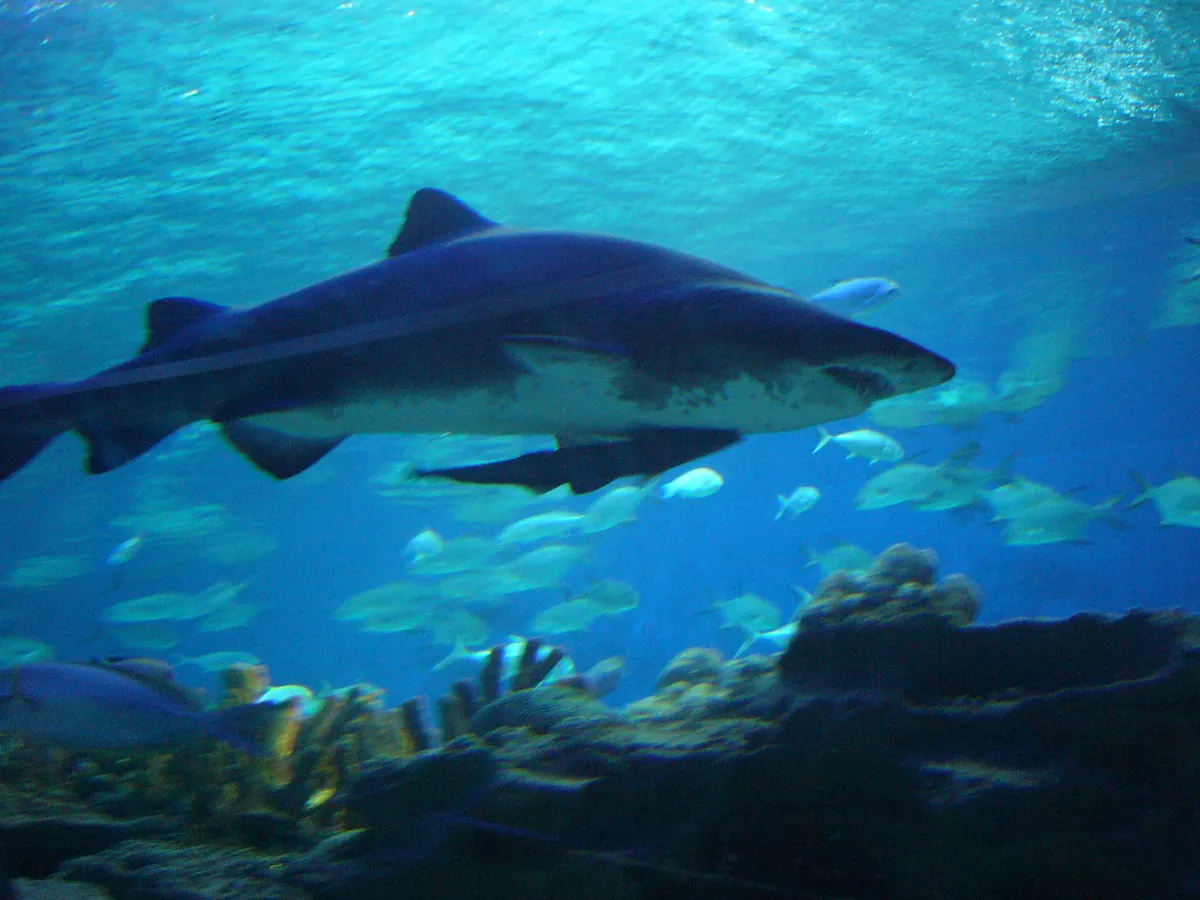 Aquaria KLCC