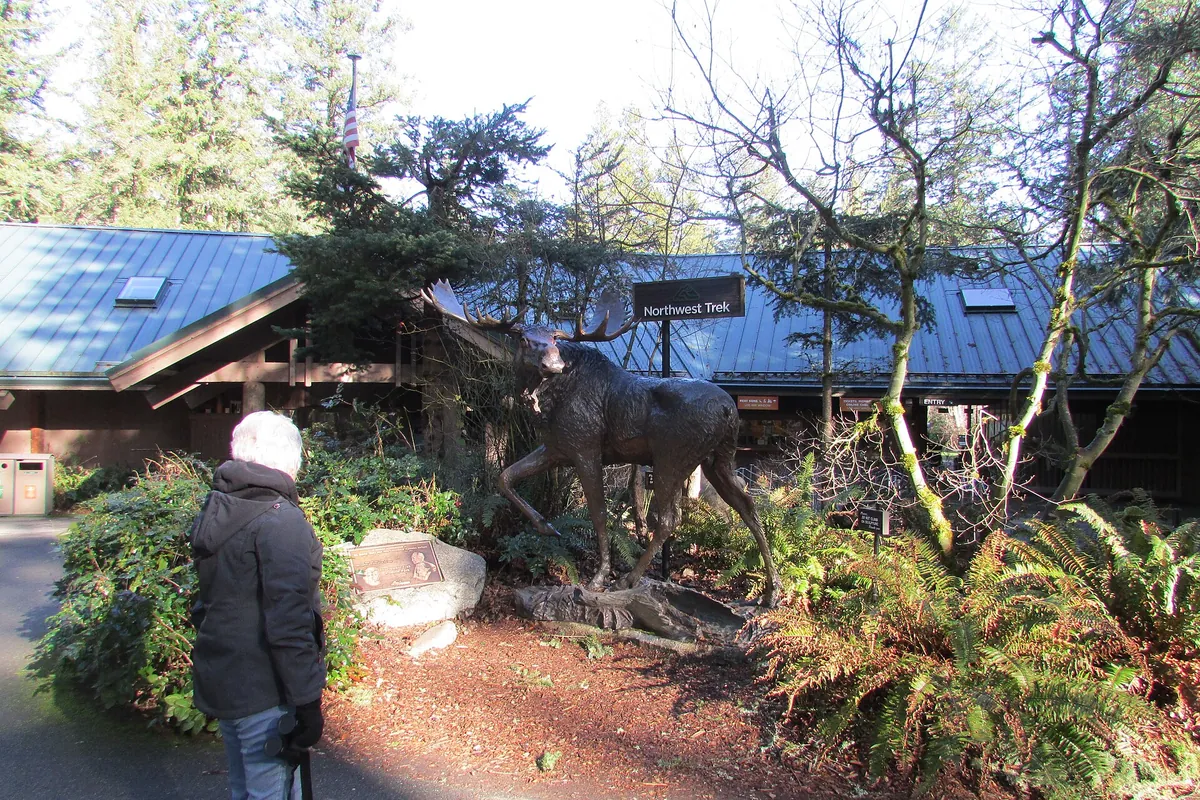 Northwest Trek Wildlife Park