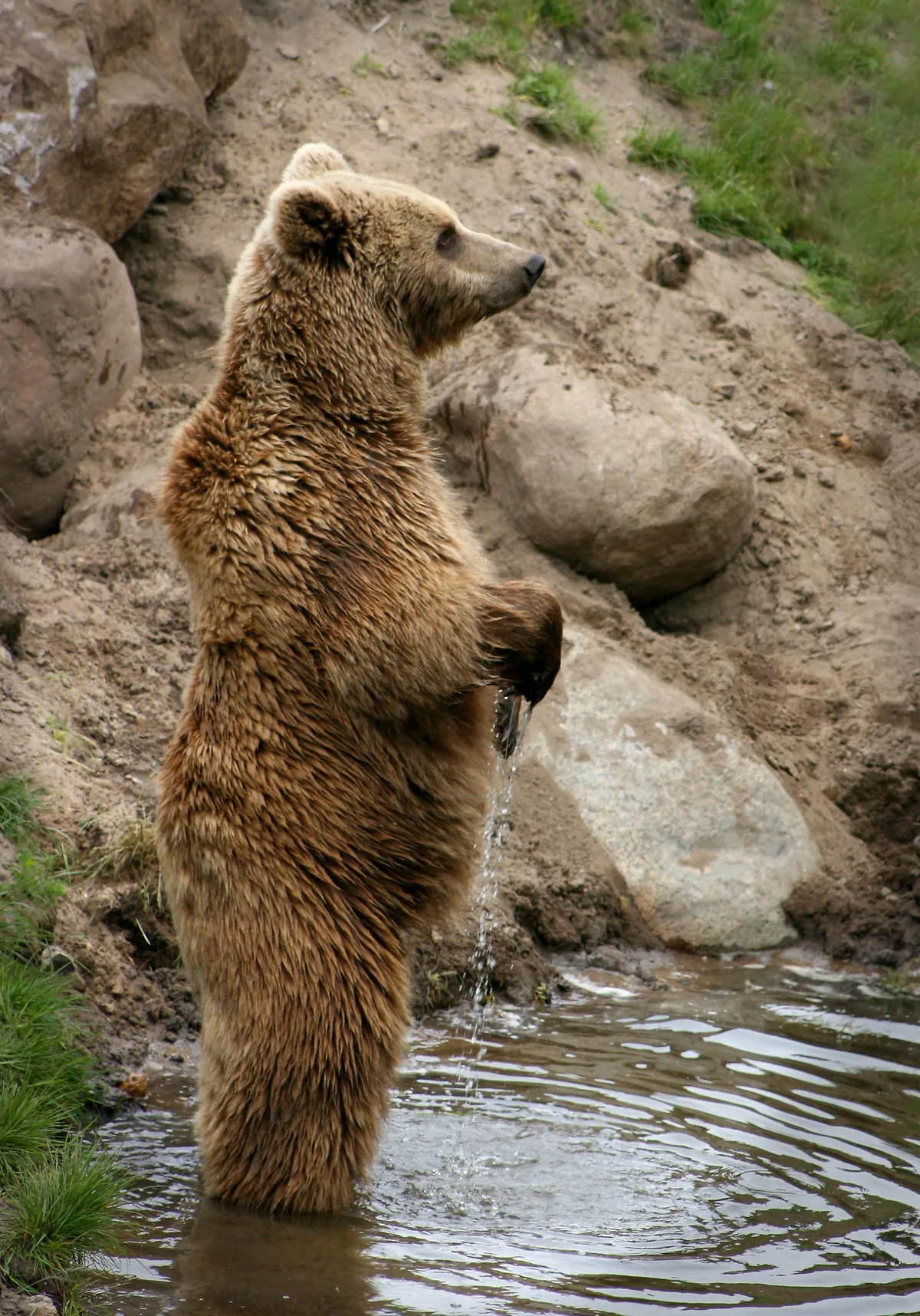 Skandinavisk Dyrepark