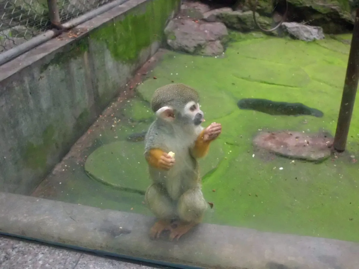 Hangzhou Zoo