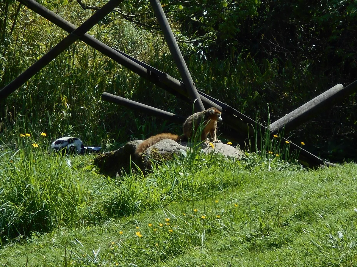 Parc zoologique de Champrepus
