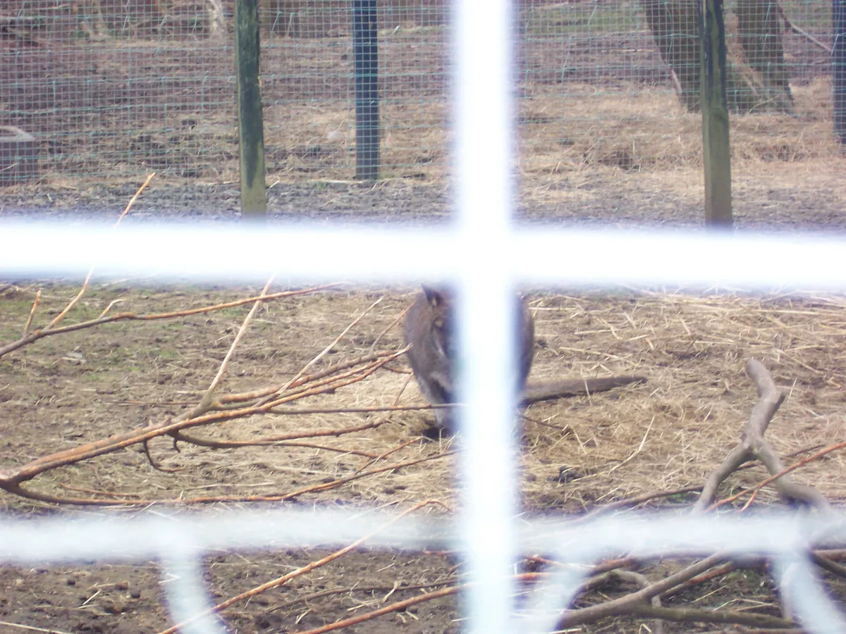 Five Sisters Zoo