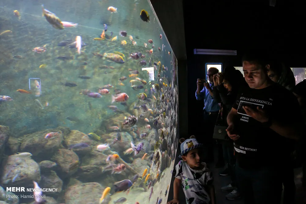 Isfahan Aquarium