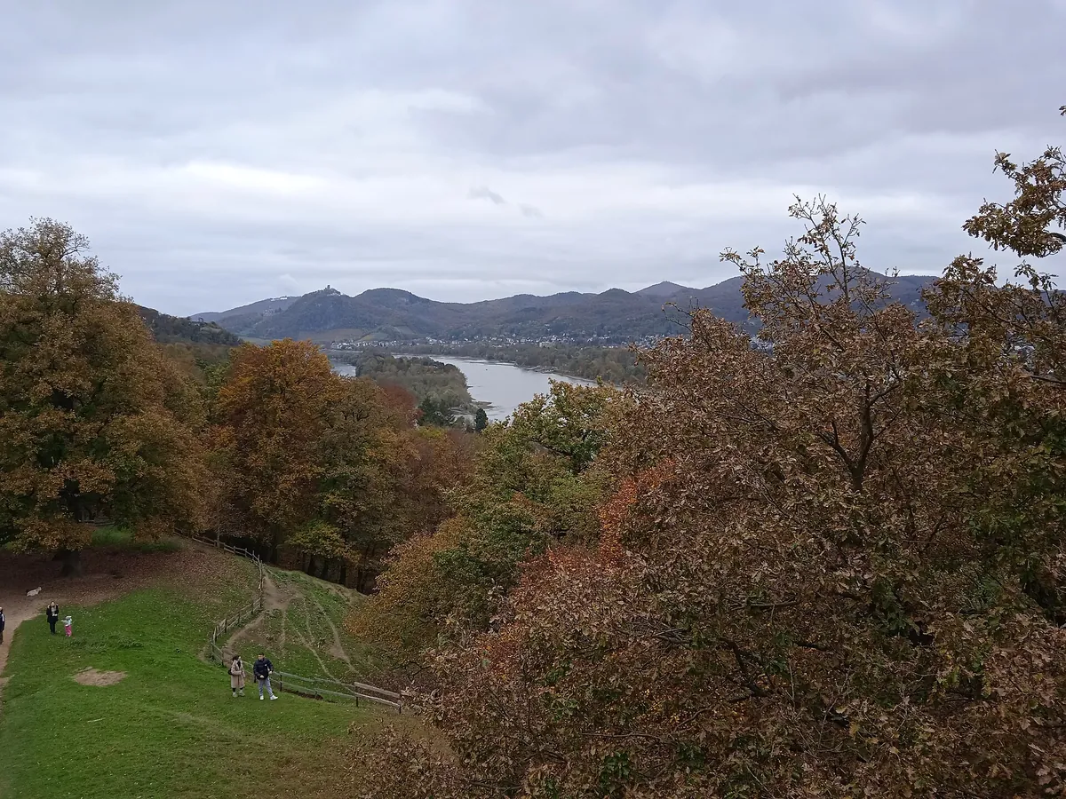 Wildpark Rolandseck