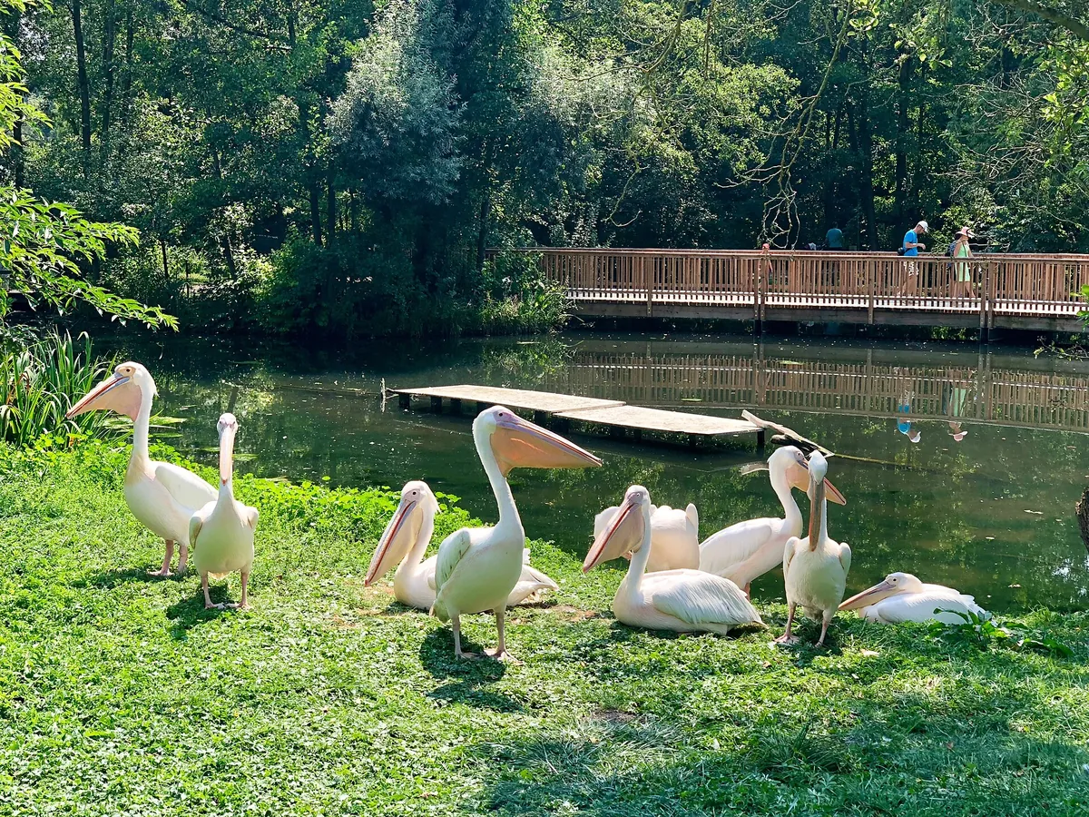 Tiergarten Straubing
