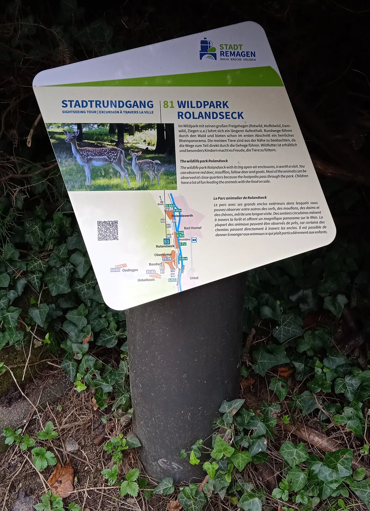 Wildpark Rolandseck