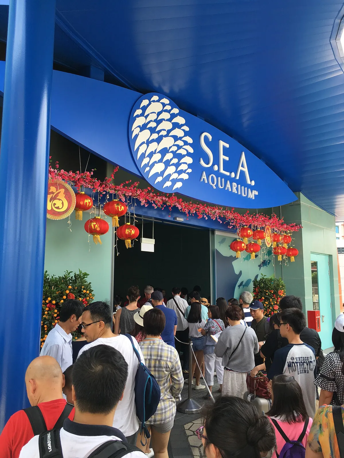 Singapore Oceanarium